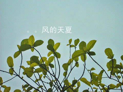 夏天的风 元卫觉醒