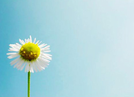 顾莉雅《寂寞花火》