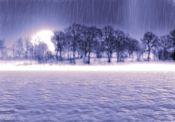《夏雨》