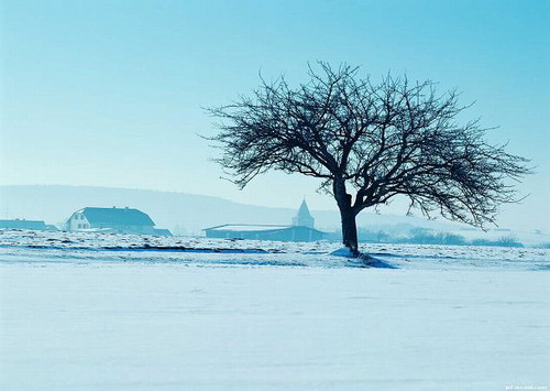 刀朗《2002年的第一场雪》