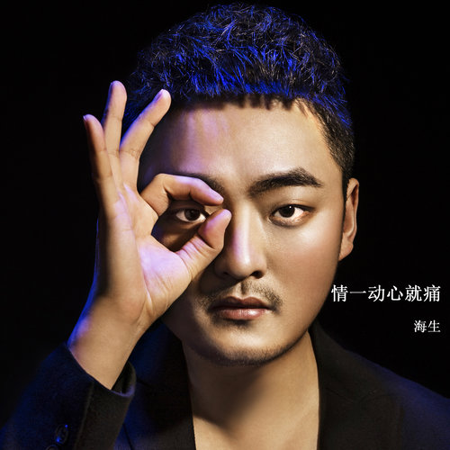 海生《情一动心就痛》