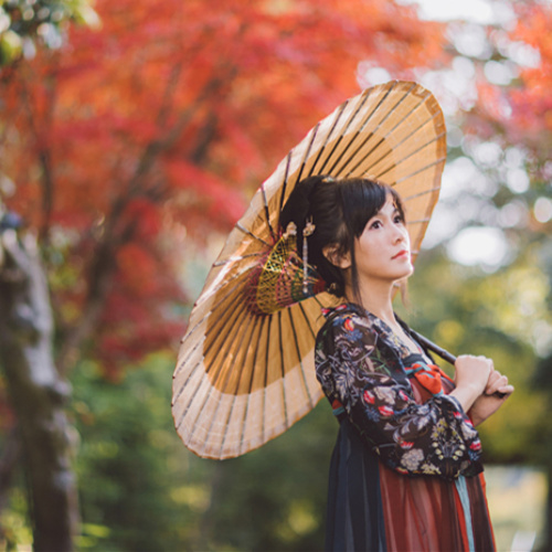 司夏《千岁暖》