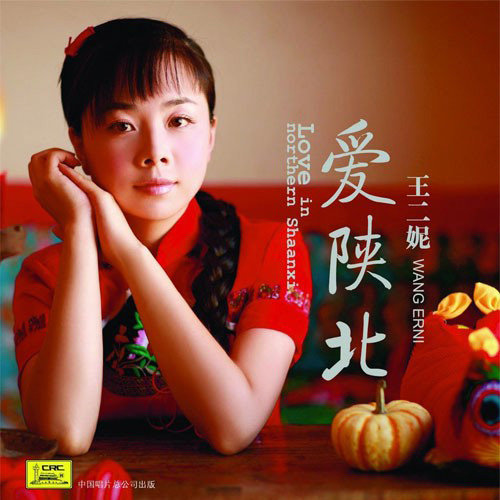 王二妮-《叫一声哥哥你快回来》