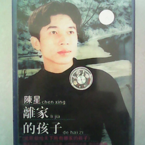 陈星，吕飞《离家的孩子》