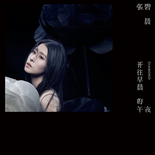 张碧晨《开往早晨的午夜》