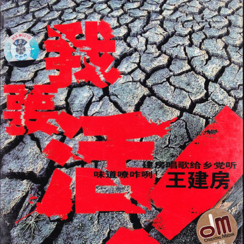 王建房《婷使在人间》