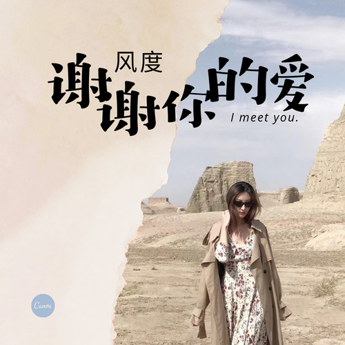 风度《谢谢你的爱》
