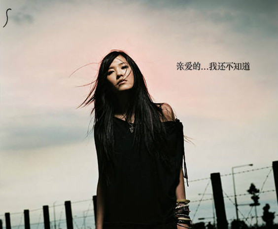 张悬《亲爱的》