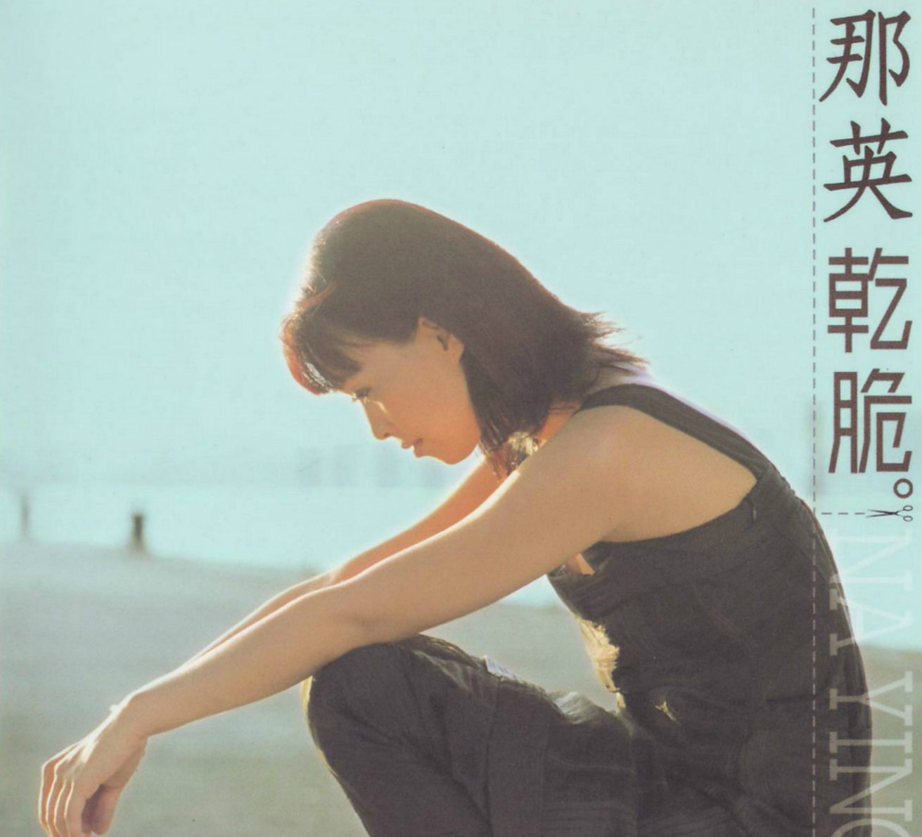 那英《相见不如怀念》