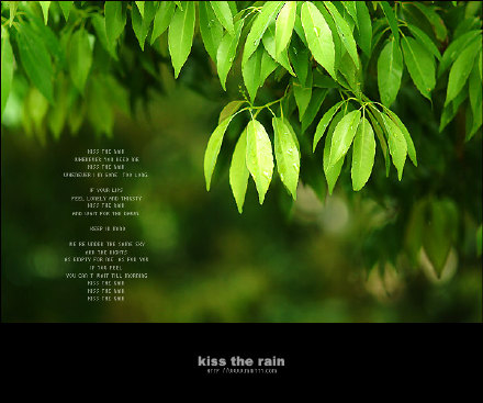 【钢琴名曲】电视剧《夏日香气》配乐--《Kiss The Rain》