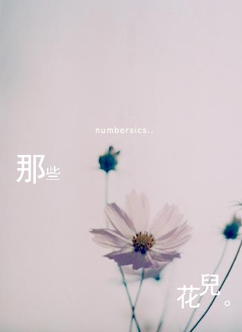 你是我的花朵--张赫宣