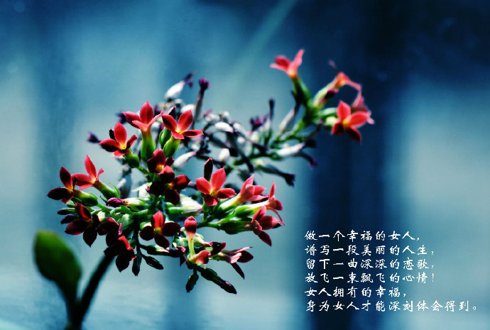 休闲时光的歌曲