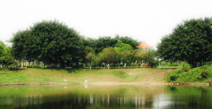 王丽达《美丽的松山湖》