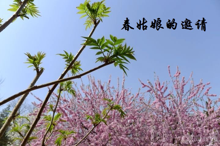 熊立红《春姑娘的邀请》