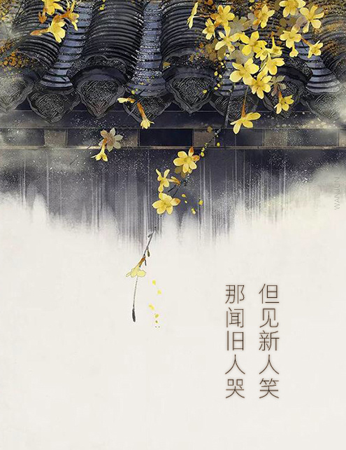 电影《包青天》主题曲--《新鸳鸯蝴蝶梦》（黄安）