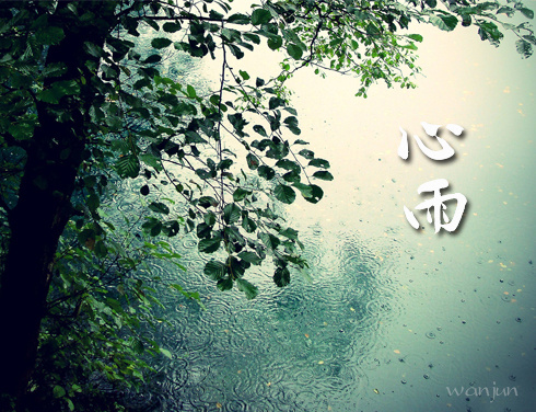 杨钰莹 毛宁《心雨》
