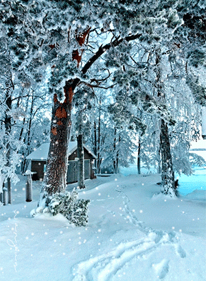 翟惠民《雪》