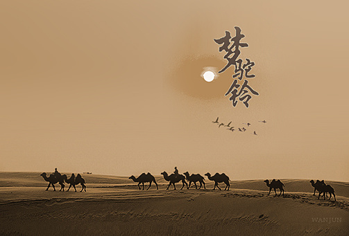 张明敏《梦驼铃》