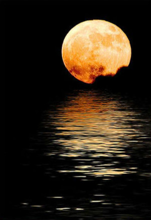 《Fly Me to The Moon》