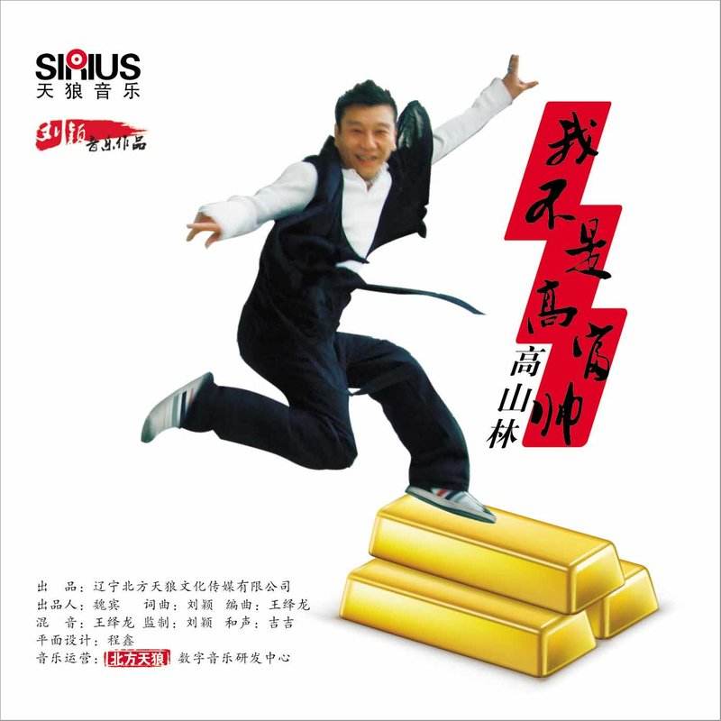 高山林《我不是高富帅》