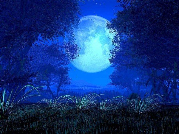 齐秦《城里的月光》