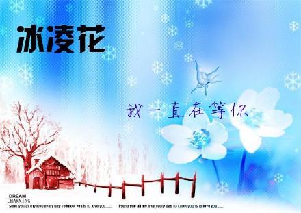 《冰凌花》