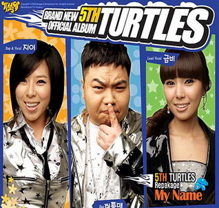 Turtles《一段时间没有音讯》