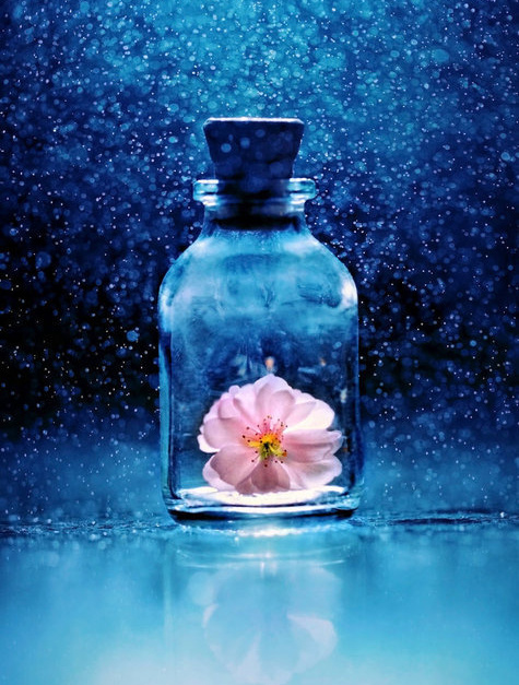 bigbang《 blue》蓝色