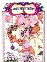 西班牙国酒：雪莉酒（Sherry Wine）