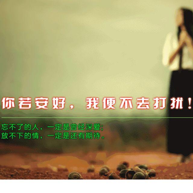 欣哲《你若安好我不打扰》