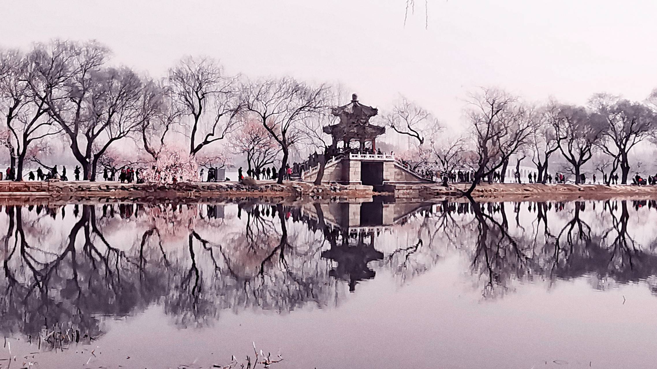 北京春天赏花全攻略
