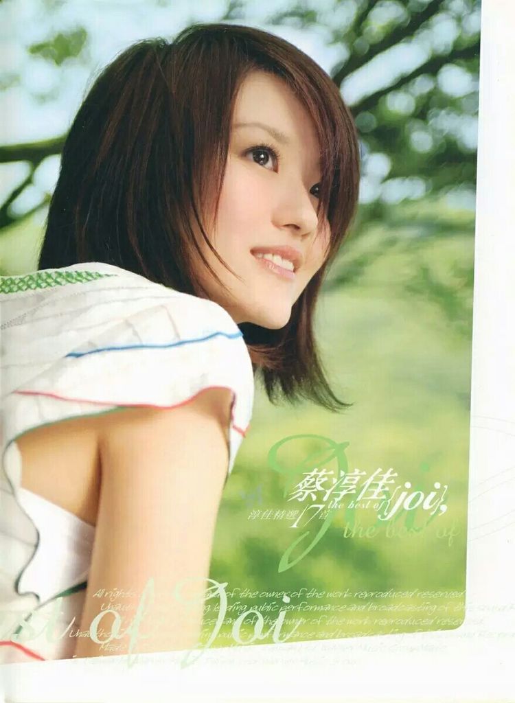 蔡淳佳《眼里眉间》