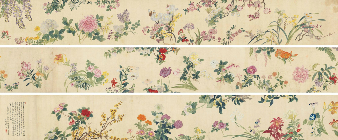 跟着古画赏花，识花，辨花