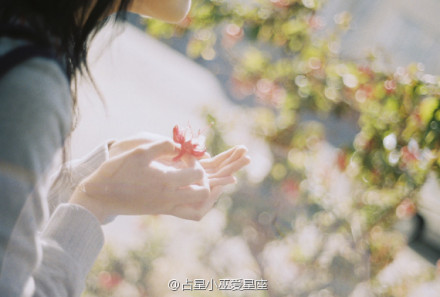 仓木麻衣《Time After Time ～ 花舞街》