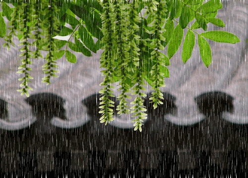 降央卓玛《雨中飘荡的回忆》