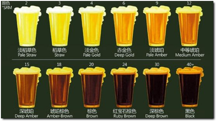 啤酒有65大类，你只喝过其中之一