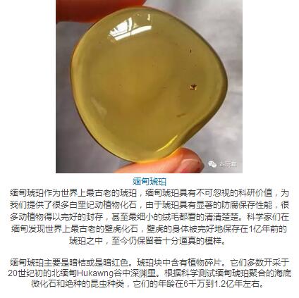 琥珀产地大PK