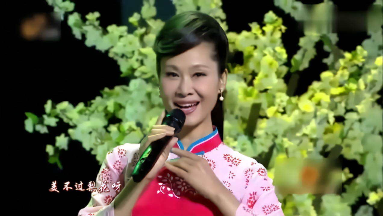 于文华《梨花美》