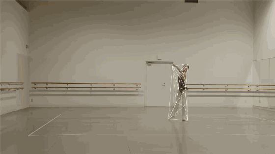 东京艺术大学教授佐藤雅彦小作品《Ballet Rotoscop》