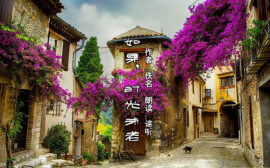 散文诵读-如果，时光未老