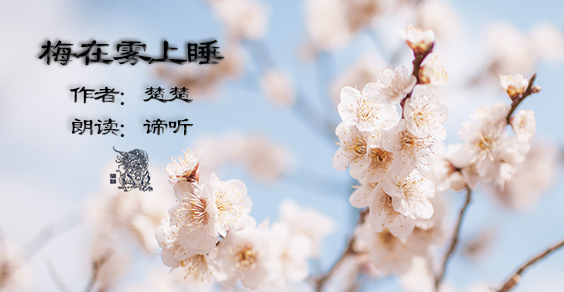 散文朗诵-梅在雾上睡
