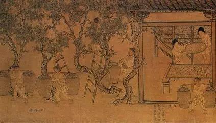 人们常说的指桑骂槐，跟桑树槐树有关系吗？