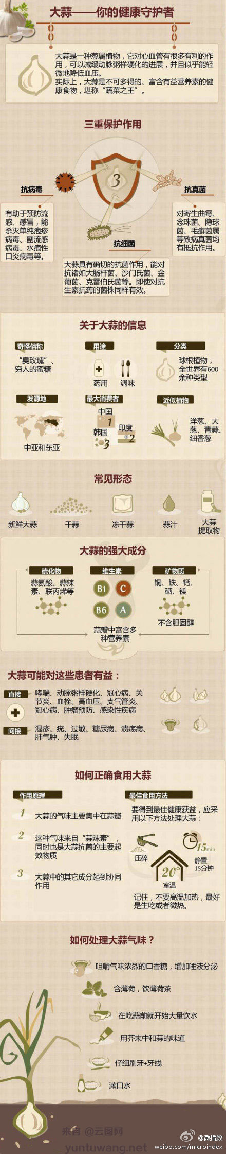 大蒜-你的健康守护者