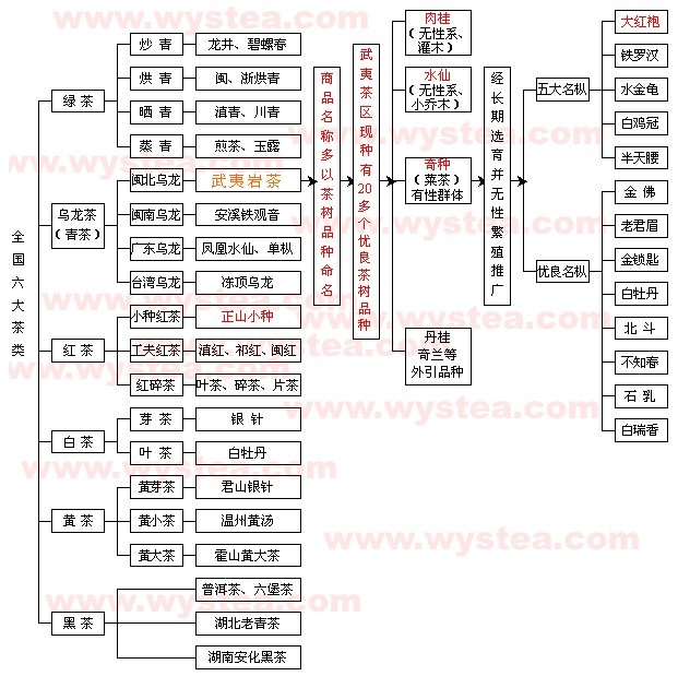 茶之分类