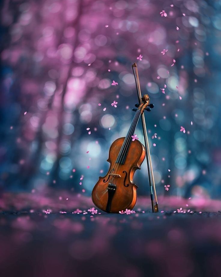 小提琴曲 《Purple Passion》紫色激情 （Diana Bonchev