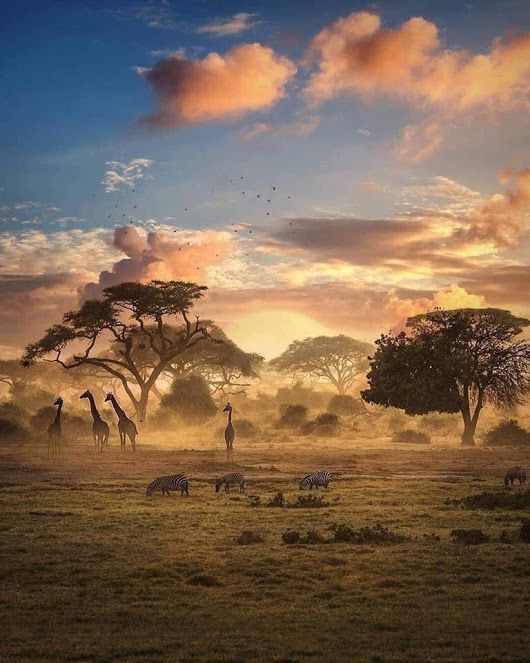 电影《走出非洲》主题曲 --《Out Of Africa》