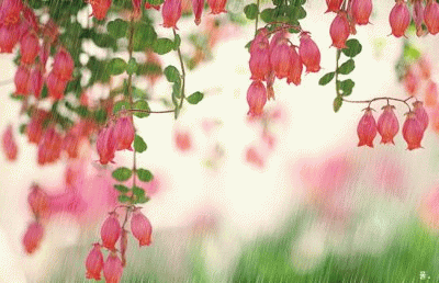 韩剧《我的女友是九尾狐》插曲--《狐狸雨》李仙姬