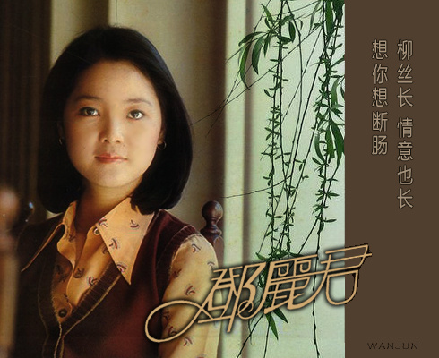 邓丽君《想你想断肠》