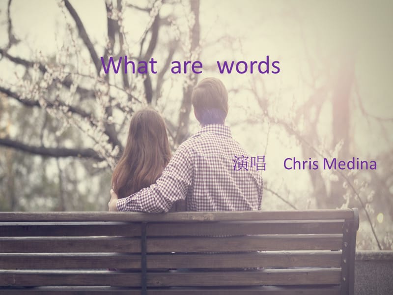 Chris Medina《What Are Words》（什么是承诺）