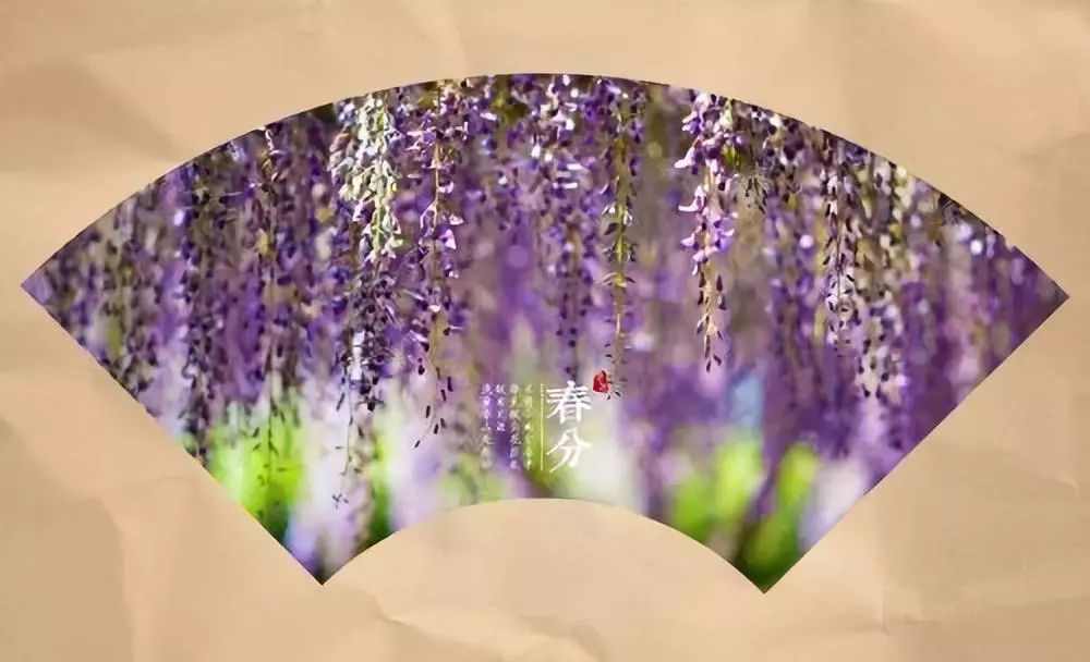 8首最美春分诗词，让你春风得意一整年